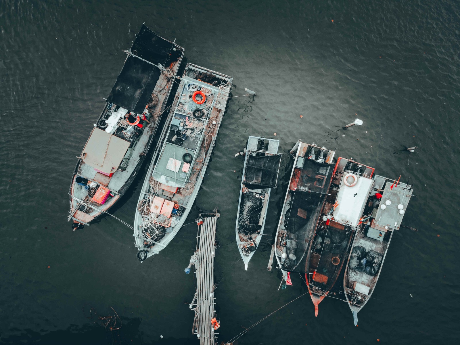 pexels-pok-rie-7099818