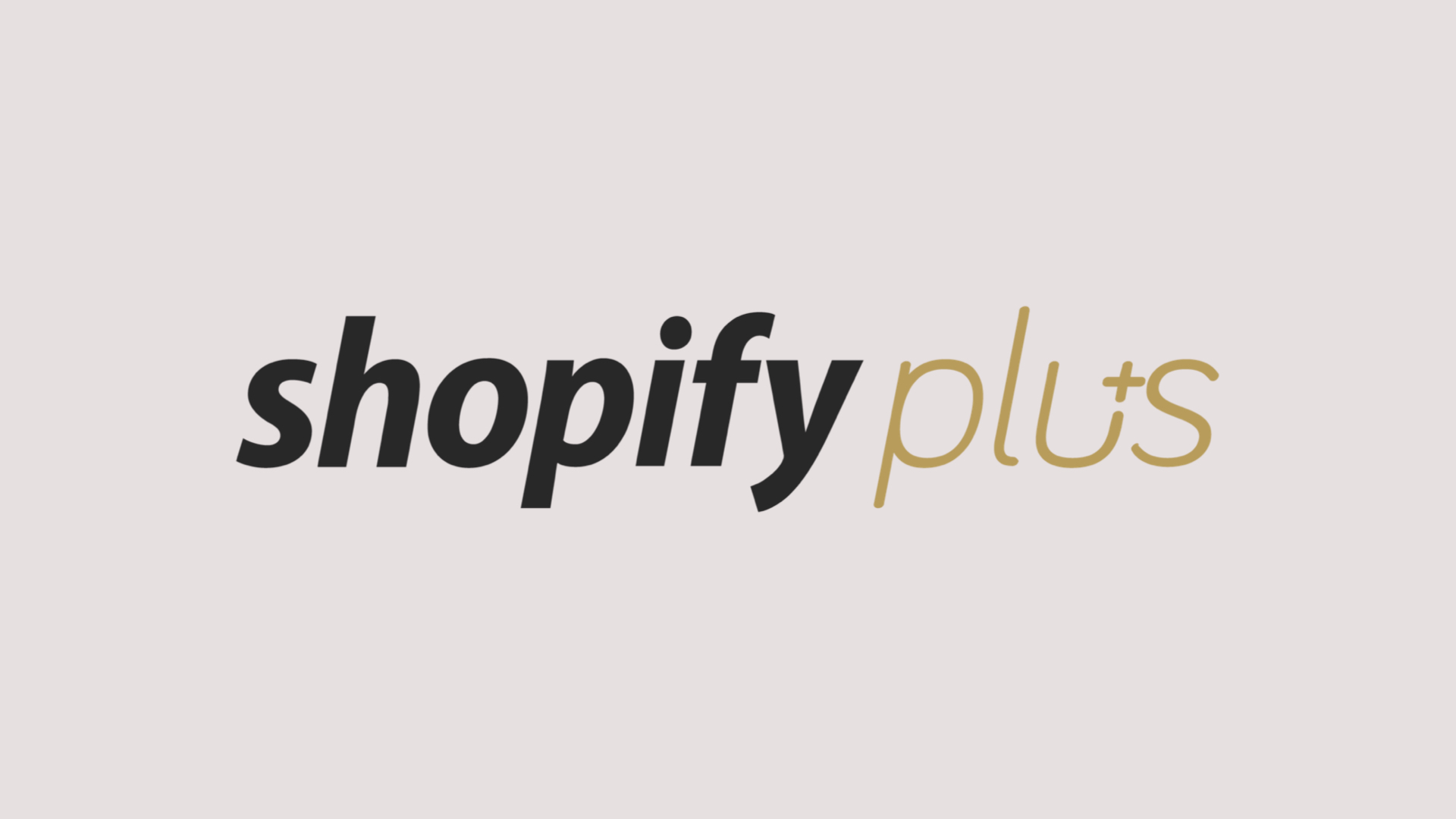 shopify-base-stores.001.jpeg